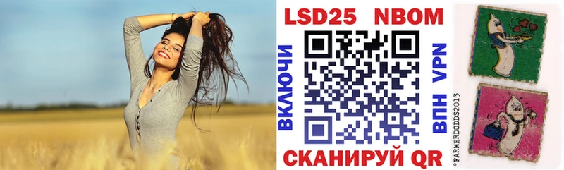 Наркотические марки 1,8мг  Купить закладки  Никольск 